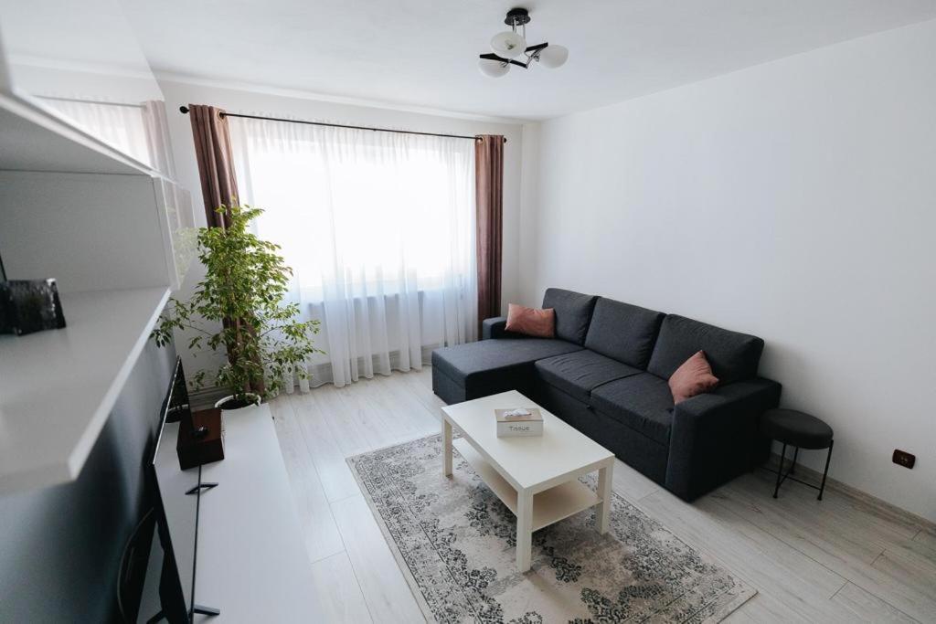 Scandinavian House Apartment Targu Jiu Ngoại thất bức ảnh